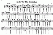Deluxe Tin whistle Songbook (ed.Conway)