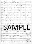 Die Fledermaus Overture