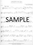 Disney Solos for Flute