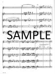 Divertimento for Eight Flutes
