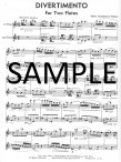 Divertimento for Two Flutes