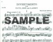 Divertimento (parts)