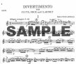 Divertimento (parts)