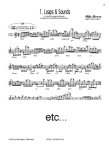 Doing Time:Ten Flute Pieces to Set Your Fingers Free
