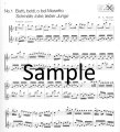 Don Giovanni (score form)