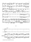 Double Flute Concerto in G (QV 6:7)