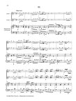Double Flute Concerto in G (QV 6:7)