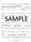Double Troubles-A Collection of pieces for the aspiring Woodwind Doubler
