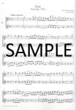 Duets for Fun