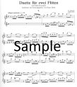 Duets (score form)
