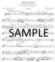 Duettino on American National Songs Op37