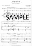 Duettino on American National Songs Op37