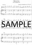 Easy Classics for Flute