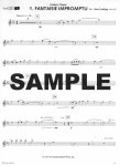 Easy Classics for the Young Flute Player