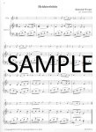 Easy Play-Alongs for Flute-Selected easy pieces from Vivaldi to Dvorak
