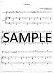 Easy Play-Alongs for Flute-Selected easy pieces from Vivaldi to Dvorak