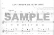 Easy Pop Melodies for Flute