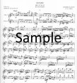 Echo (Hob II#39) (2 Scores)