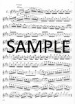 Eighteen Etudes