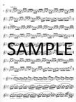 Eighteen Etudes