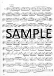 Eighteen Etudes