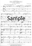 Encantamiento (2 playing scores)