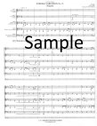 Enigma Variations #9 Nimrod