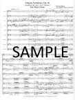 Enigma Variations Op36
