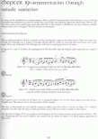 Essential Guide to Irish Flute and Tin Whistle-Larsen,G