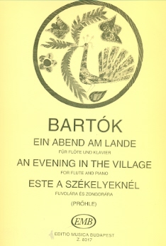 Evening in the Village