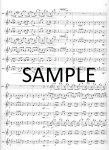 Excerpts from The Nutcracker Suite