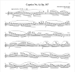 Expressive Etudes for the Flute