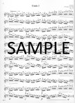 Famous Flute Works