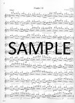Famous Flute Works