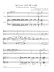 Fantasia Concertante Op256