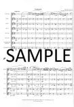 Fantasie for Solo Flute with Flute Ensemble