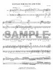 Fantasy for Flute and Tuba