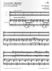 Fantasy on "Rigoletto"