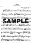 Festival Performance Solos (v.2)