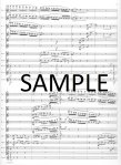 Fireworks for flute orchestra