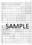 Fireworks for flute orchestra
