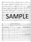 Fireworks for flute orchestra