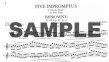 Five Impromptus (D899 & D935)