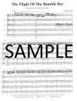 Flight of the Bumble Bee (2nd ed)