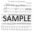 Flight of the Bumblebee(ed.Cavally)