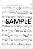 Flute Audition, The