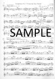 Flute Audition, The