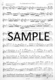 Flute Audition, The