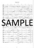 Flute Boot Camp Manual