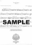 Flute Collection - Easy to Intermediate